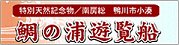 小湊 鯛の浦遊覧船