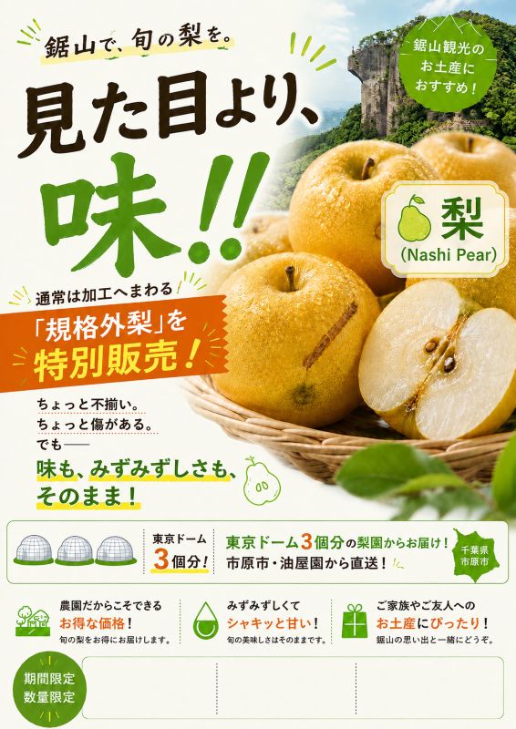 トピックス画像